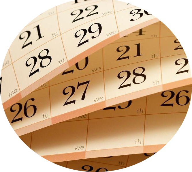 No Late Payment Concern